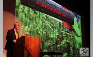medical marijuana doctors Colorado